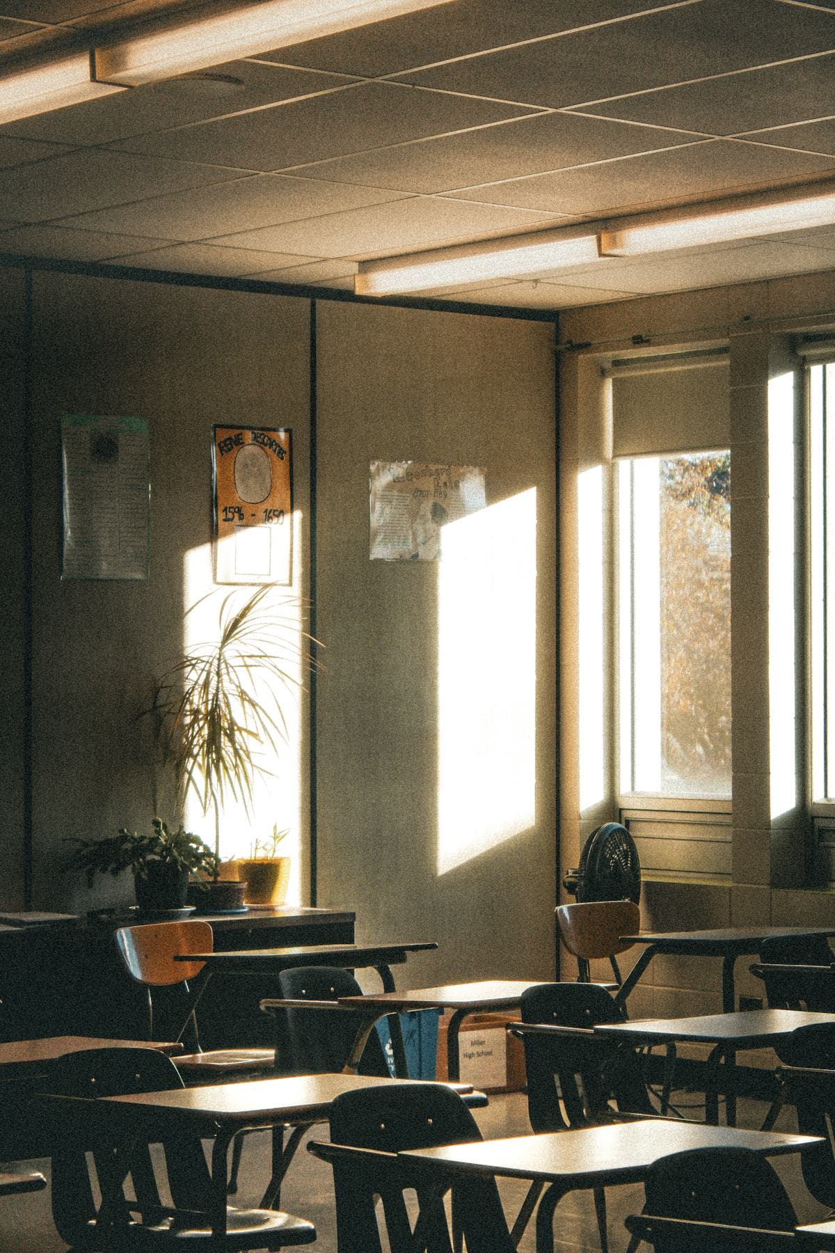 Schools