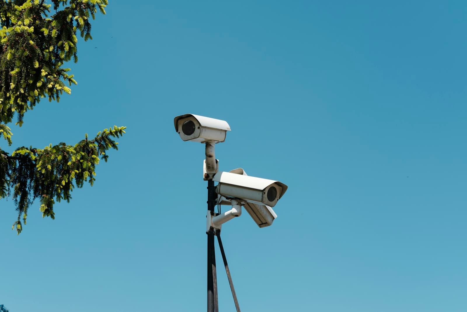 Security Services
